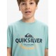 Quiksilver camiseta